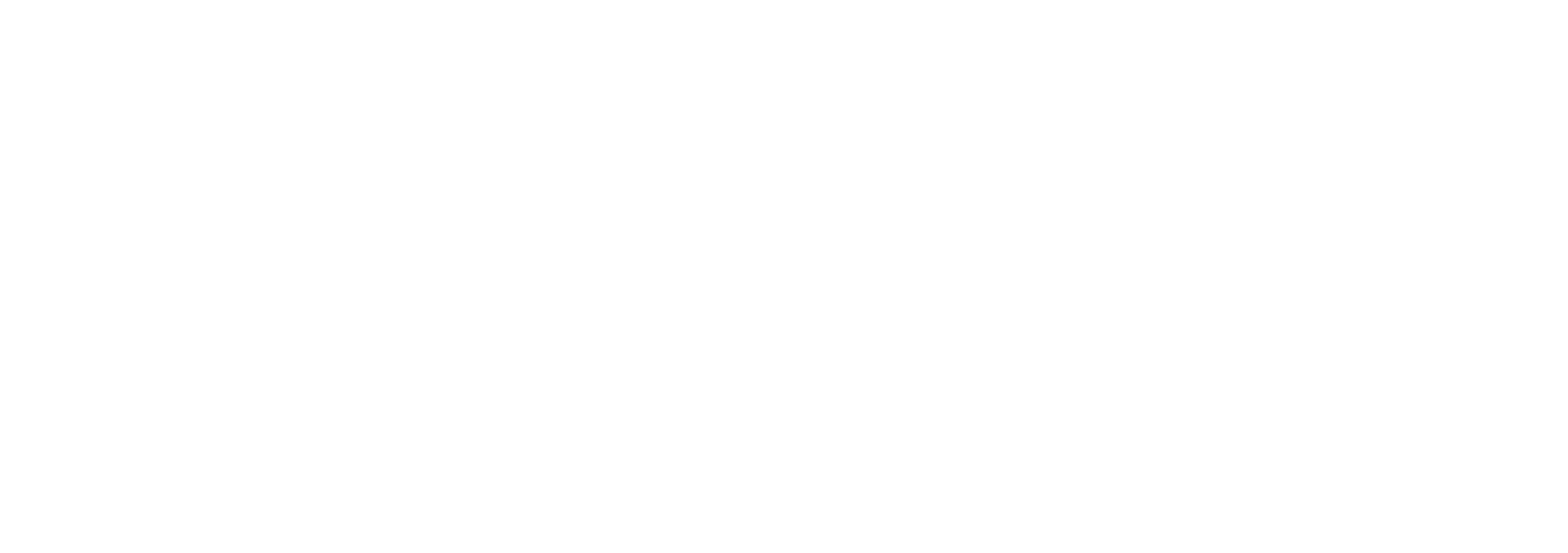 Domain Digital logo - white